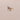 14K Gold Butterfly Women's Ring . RG-2137