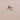 14K Gold Butterfly Women's Ring . RG-2137